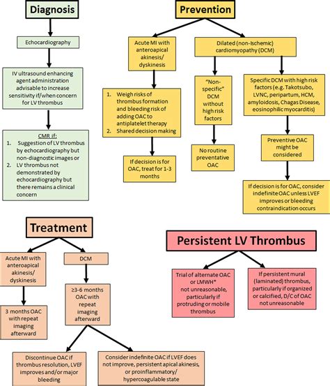 lv apical thrombus treatment.